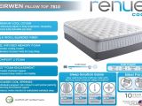 Cushion Firm Vs Plush Pillow top Eirwen Pillow top A Renue Mattress