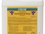 Cydectin Dosage for Goats Cydectin oral Sheep Drench Bayer Wormers Goat Sheep Farm