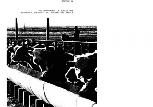 Daily Commitment Report Peoria Il Pdf Livestock and Wool Cooperatives