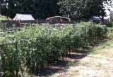 Dallas Craigslist Farm and Garden by Owner fort Smith Farm Garden by Owner Craigslist Autos Post