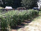 Dallas Craigslist Farm and Garden by Owner fort Smith Farm Garden by Owner Craigslist Autos Post