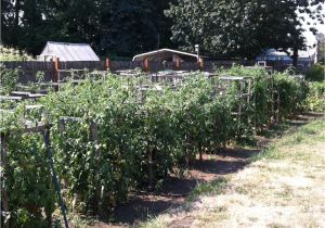 Dallas Craigslist Farm and Garden by Owner fort Smith Farm Garden by Owner Craigslist Autos Post