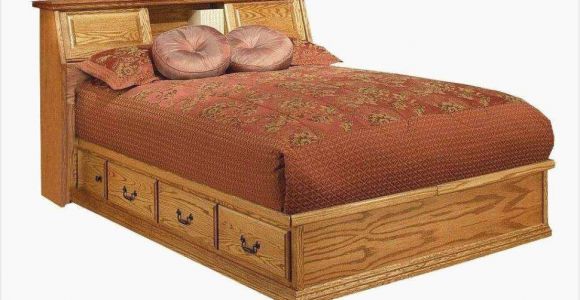Daybed that Turns Into Queen A Awesome Queen Daybed Frame 61814 Frankbaker Win
