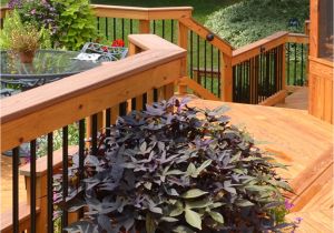 Deck Builders Louisville Ky American Deck Sunroom 5 Signs Of Spring In Lexington Louisville