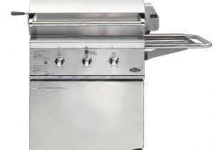 Delta Heat Grill Reviews the 10 Best Mid Range Gas Grills to Buy In 2019