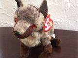 Derby Beanie Baby Value Ty Howl Wolf Beanie Baby original with Tag 2000 Beanbag Plush