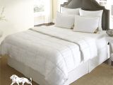 Difference Between Down and Down Alternative Comforter the Ultimate Winter Comforter Hotel Luxury Down Alternative