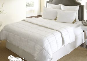 Difference Between Down and Down Alternative Comforter the Ultimate Winter Comforter Hotel Luxury Down Alternative