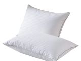 Difference Between Down and Down Alternative Pillow Amazon Com Snowman White Goose Down Feather Bed Pillow Meduim