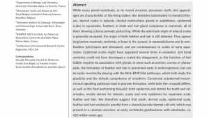 Difference Between Feather Down and Down Alternative Pdf Getting to the Root Of Scales Feather and Hair as Deep as