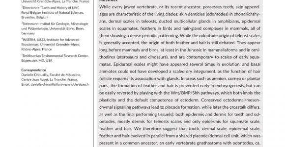 Difference Between Feather Down and Down Alternative Pdf Getting to the Root Of Scales Feather and Hair as Deep as