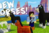 Different Types Of Beds In Minecraft New Minecraft Draft Horses Mod Youtube