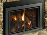 Direct Vent Gas Fireplace Insert Reviews 2019 Direct Vent Gas Fireplace Insert Napoleon Direct Vent Gas