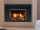 Direct Vent Gas Fireplace Insert Reviews 2019 Direct Vent Gas Fireplace Insert
