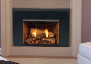 Direct Vent Gas Fireplace Insert Reviews 2019 Direct Vent Gas Fireplace Insert