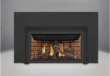 Direct Vent Gas Fireplace Insert Reviews 2019 Napoleon Gdizc Direct Vent Gas Fireplace Insert Gdizc Nsb