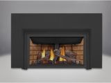 Direct Vent Gas Fireplace Insert Reviews 2019 Napoleon Gdizc Direct Vent Gas Fireplace Insert Gdizc Nsb