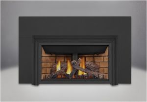 Direct Vent Gas Fireplace Insert Reviews 2019 Napoleon Gdizc Direct Vent Gas Fireplace Insert Gdizc Nsb