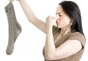 Dirty sock Syndrome Hvac Musty Ac or Heat Pump Odor Aka Dirty sock Syndrome