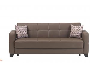 Discount Furniture Pensacola Florida Sleeper Sectional Leather Fresh sofa Design
