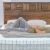 Discount Mattress Knoxville Tn Sleepovation 700 Tiny Mattresses In One for Back Pain Relief