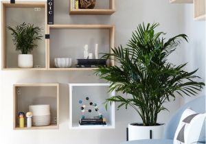 Diseños De Cocinas Pequeñas Y Sencillas 2019 Muebles Para Habitaciones Pequea as Fresco Coleccia N Mejores 13