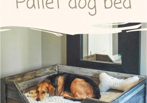 Diy Built In Entertainment Center Plans Diy Pdf Tutorial Pallet Dog Bed 1001 Pallets Free Download How