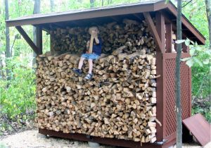 Diy Indoor Firewood Rack Outdoor Wood Shed Google Search Firewood Storage Rack Ideas
