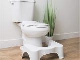 Diy Potty Step Stool with Handles Amazon Com Squatty Potty the original Bathroom toilet Stool White