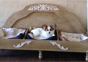 Dog Bed Replacement Filler Replacement Dog Bed Fill Korrectkritterscom