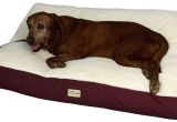 Dog Bed Replacement Filler Replacement Dog Bed Filler Liner for Ellie Bo Large Inch