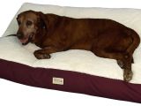 Dog Bed Replacement Filler Replacement Dog Bed Filler Liner for Ellie Bo Large Inch