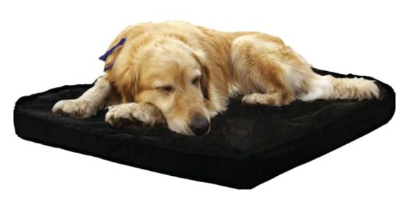 Dog Bed Replacement Filler Replacement Dog Bed Filler Liner for Ellie Bo Large Inch