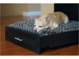 Dog Bed Replacement Filler Replacement Dog Beds Fill Aliexpress New Dog Bed soft