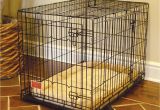 Dog Crate Divider Diy Divider Amusing Dog Crate with Divider Plastic Dog Crate