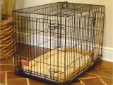 Dog Crate Divider Diy Divider Amusing Dog Crate with Divider Plastic Dog Crate