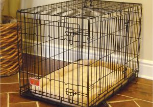 Dog Crate Divider Diy Divider Amusing Dog Crate with Divider Plastic Dog Crate