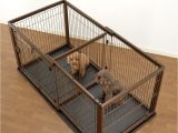 Dog Crate Divider Diy Divider Amusing Dog Crate with Divider Plastic Dog Crate