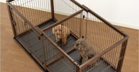 Dog Crate Divider Diy Divider Amusing Dog Crate with Divider Plastic Dog Crate