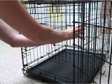 Dog Crate Divider Diy Diy Set Up Puppy Crate Divider Youtube