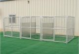 Dog Crate Divider with Hole Divider Amusing Dog Crate with Divider Plastic Dog Crate