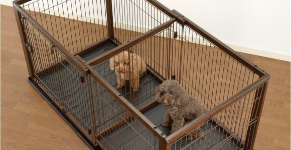 Dog Crate Divider with Hole Divider Amusing Dog Crate with Divider Xl Dog Crate with