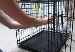 Dog Crate Divider with Hole Diy Set Up Puppy Crate Divider Youtube