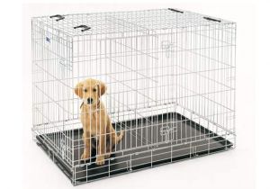 Dog Crate Divider with Hole How to Make A Dog Crate Divider