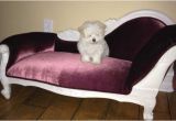 Dog sofa Bed Costco Charming sofa Pet sofa Bed Commendable Eye Catching