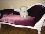 Dog sofa Bed Costco Charming sofa Pet sofa Bed Commendable Eye Catching