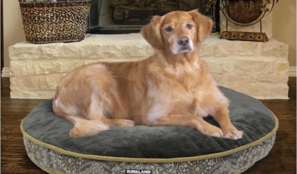 Dog sofa Bed Costco Costco Dog Bed Custom Costco Uk ...