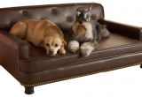 Dog sofa Bed Costco Dog sofa Bed Costco Sentogosho