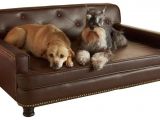 Dog sofa Bed Costco Dog sofa Bed Costco Sentogosho