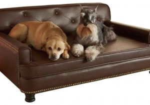 Dog sofa Bed Costco Dog sofa Bed Costco Sentogosho